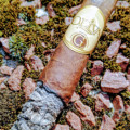 Oliva Serie G